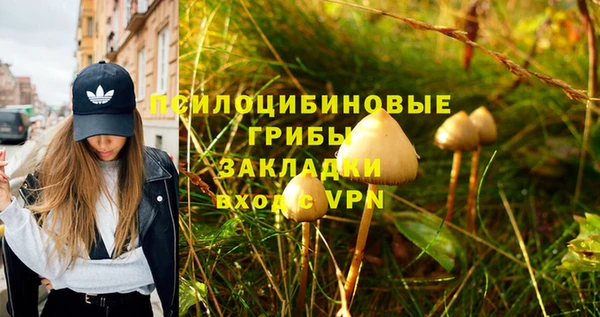 мдпв Горно-Алтайск
