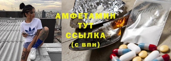 мдпв Горно-Алтайск
